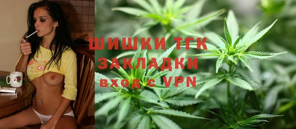 гидра Аркадак