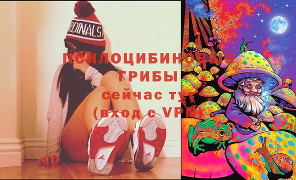 гидра Аркадак