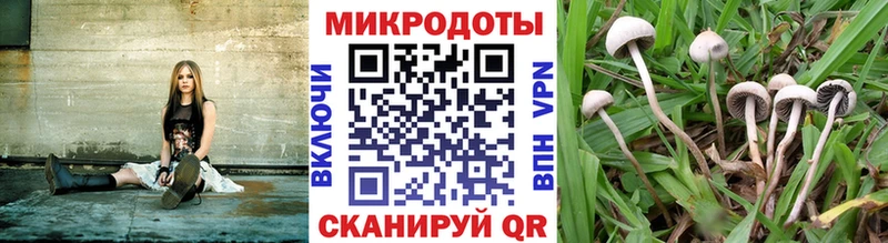 закладки  даркнет клад  Псилоцибиновые грибы Psilocybe  Котельниково 