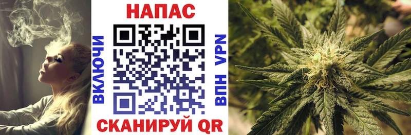 Бошки Шишки Ganja наркота Котельниково